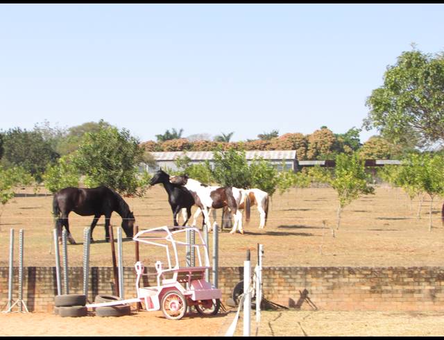 6HA SMALLHOLDING FOR SALE IN WHITE RIVER ESTATES